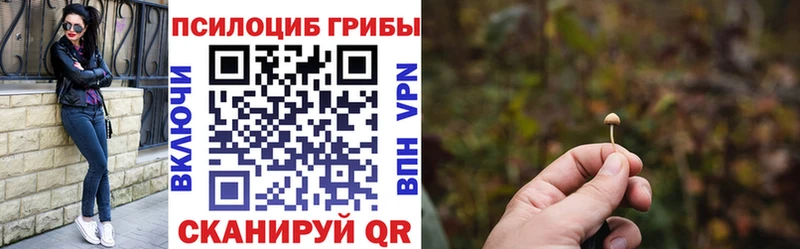 Галлюциногенные грибы мицелий  Слюдянка 